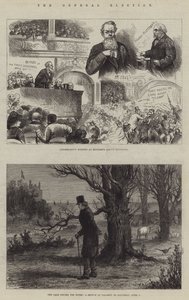 The General Election