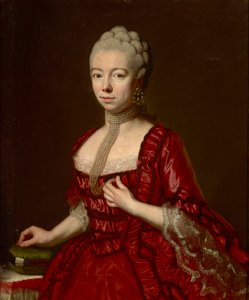 Portrait of Baroness Sophia Katharina von Brukenthal by Johann Nepomuk della Croce