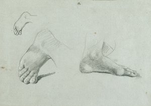 Foot Study