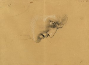 Head Study