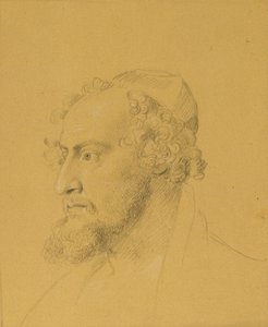 Head Study of a Bearded Man