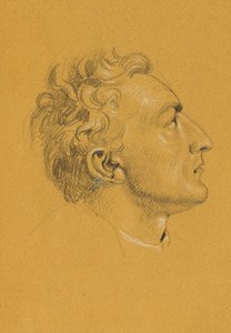 Head Study for 