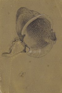 Study of a Helmet