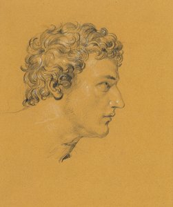 Study of a Head