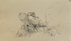 Root System, Fallen Tree by Johann Peter Krafft