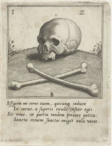 Vanitas with a Skull and Two Bones