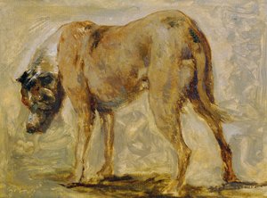 Brown Great Dane