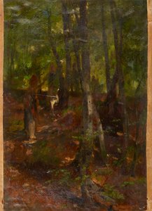 Forest Landscape by Johann  Till der Jüngere
