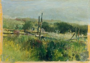 Meadow with Fence