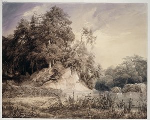 Forest Landscape with Lake and Swans by Johann Wilhelm Schirmer