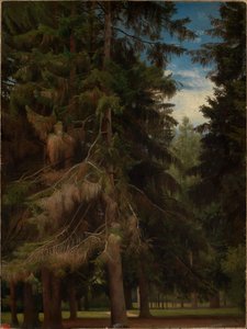 Clearing in the Fir Forest by Johann Wilhelm Schirmer