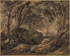 Forest Landscape with a View of Olevano and Monte Cavo by Johann Wilhelm Schirmer