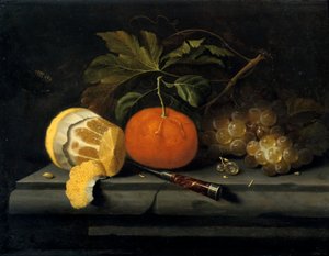 Fruits on a Table Setting of Stone by Johannes Borman