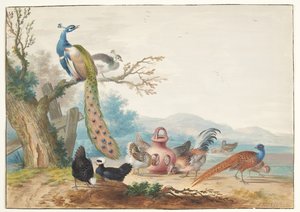 Landscape with Birds