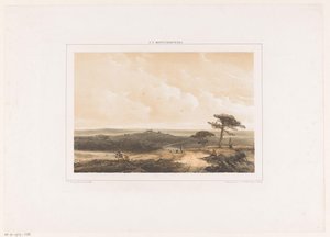 Heathland with Resting Walker and Shepherd with Flock by Johannes Franciscus Hoppenbrouwers