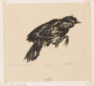 Dead Sparrow