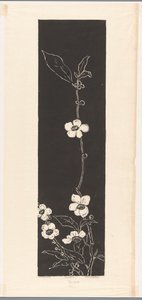 Tea Blossom by Johannes Frederik Engelbert ten Klooster (signed by artist)