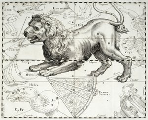 Leo, zodiacal constellation of Lion by Johannes Hevelius