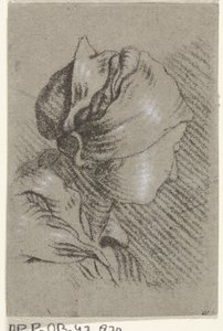 Bust of a Woman