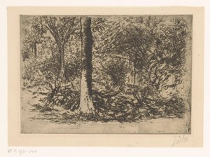 Forest Edge by Johannes Löhr