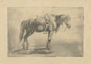 Saddled Horse Facing Right