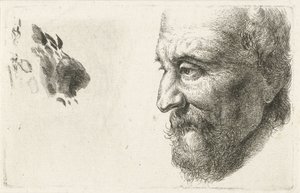 Profile of an Old Man