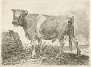 Bull by Johannes Mock