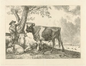 Bull and Farmer
