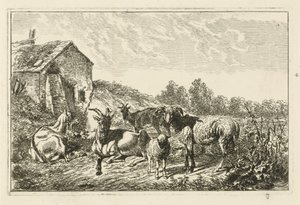 Four Goats and a Sheep by a House