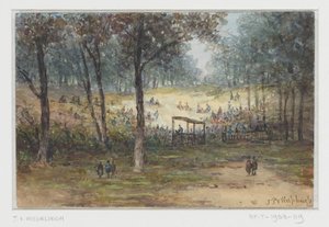 Outdoor Gathering