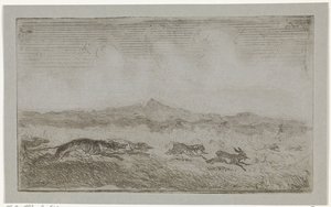 Hare Hunt by Johannes Tavenraat