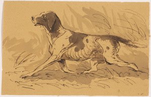 Hunting Dog by Johannes Tavenraat
