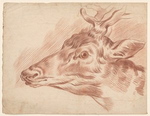 Head of a Deer, Facing Left