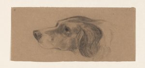 Head of a Dog, Facing Left