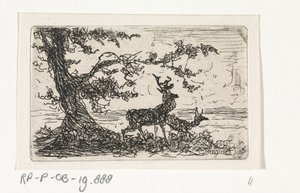 Two Deer Under a Tree by Johannes Tavenraat