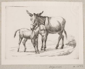 A Donkey with Its Foal by Johannes Wilhelm Zillen