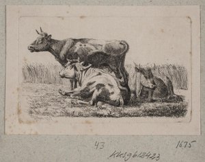 Three Cows