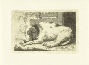 Sleeping Dog