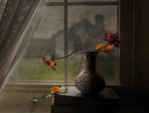 Dried Roses Window View