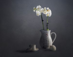 Elegant Orchid Still Life