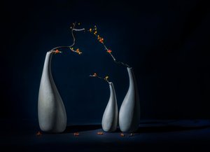 Elegant Vases with Blooms