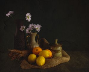 Moody Flowers and Fruit