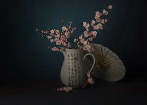 Oriental Pink Blossoms Still Life
