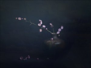 Plum Blossom Still Life