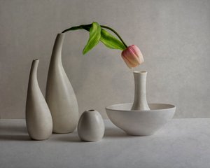 Soft Pink Tulip Vases