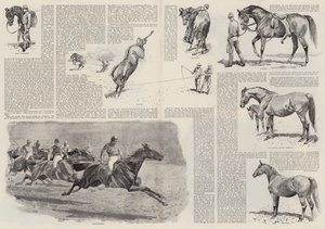 The Career of a Racehorse