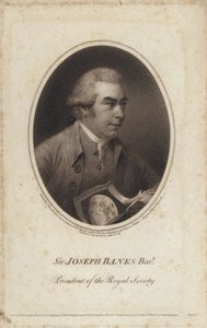 Sir Joseph Banks, English Naturalist, Botanist and President of the Royal Society by John (after) Russell