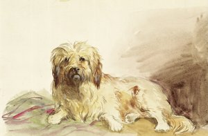 The Artist