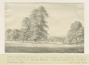 Lichfield Cathedral - View from Aldershaw (distant) by John Allport