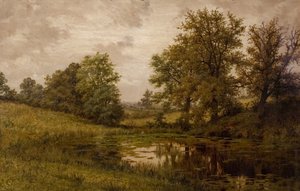 Pond near Whittem